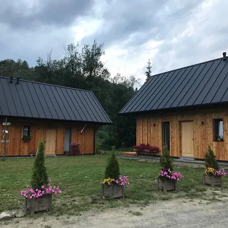 Gorczanska *