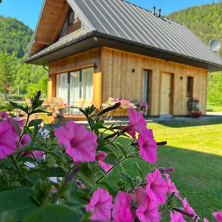 Gorczanska Villa
